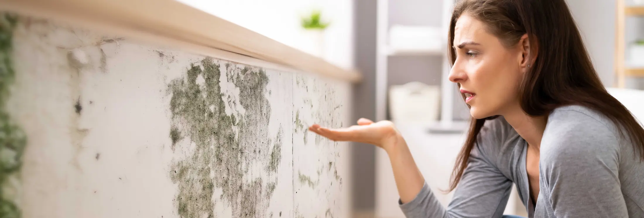 Fallrohrsanierung Dortmund Fallrohrsanierung Dortmund